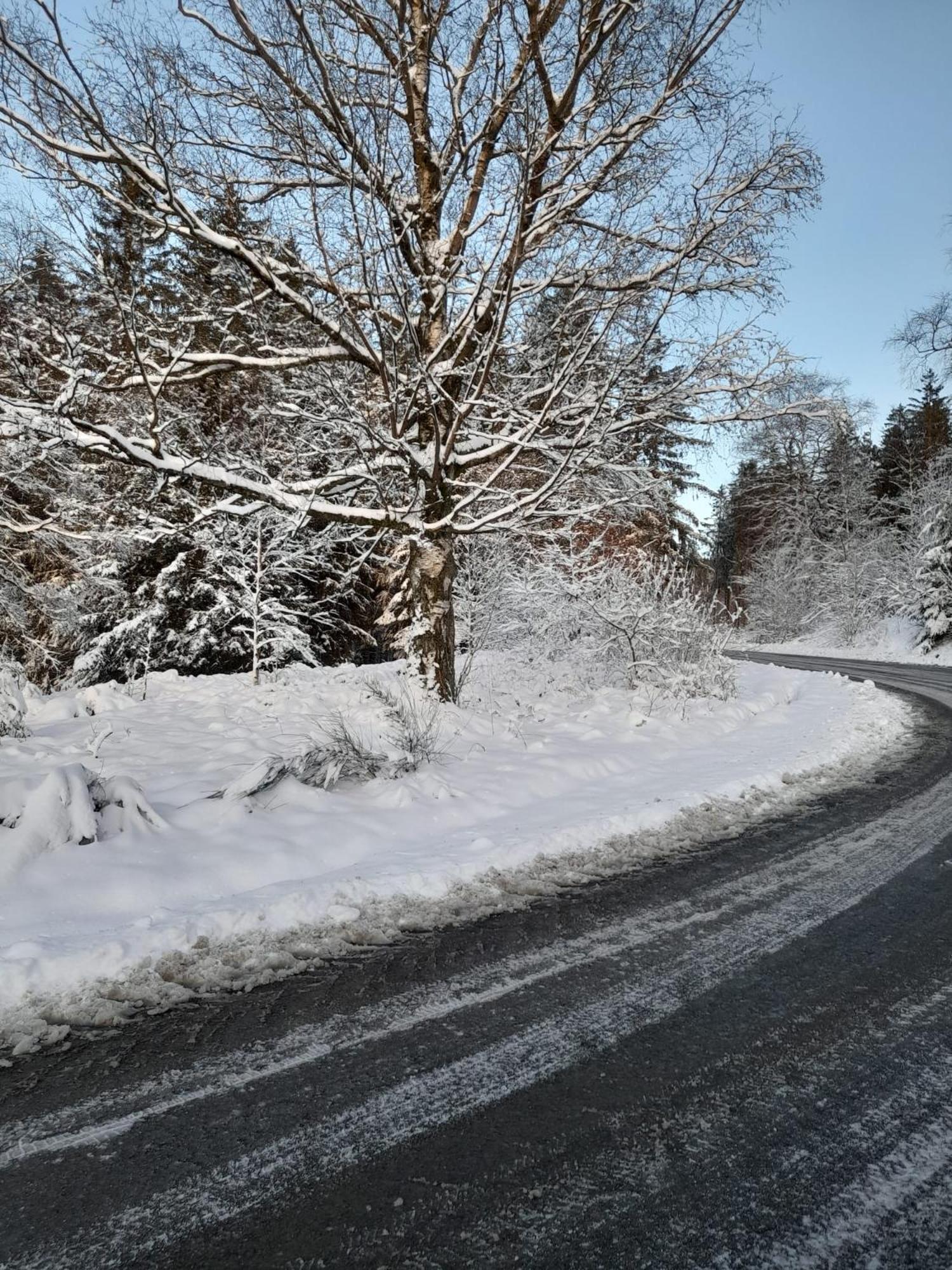 Haus Annemiek Apartment Winterberg Luaran gambar